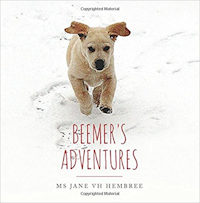 Beemer's Adventures by Jane Hembree