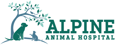 Alpine Animal Hospital - Murphy, NC